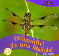 It_s_a_dragonfly___