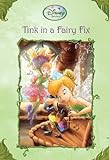 Tink_Ina_Fairy_Fix
