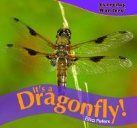 It_s_a_dragonfly_